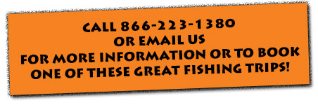 Call or email us to book or learn more about one of these great fishing trips!