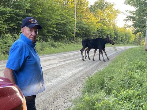Moose Crossing Road