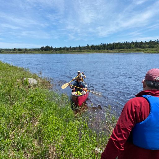 Landing Canoe on Shore