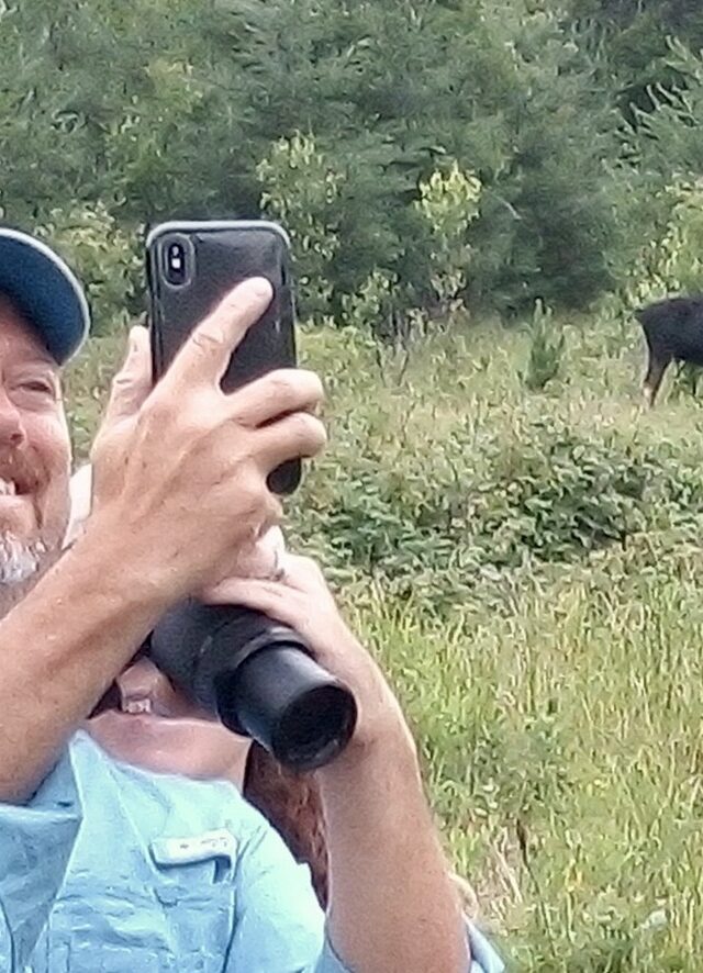 Man Taking Selfie With Moose